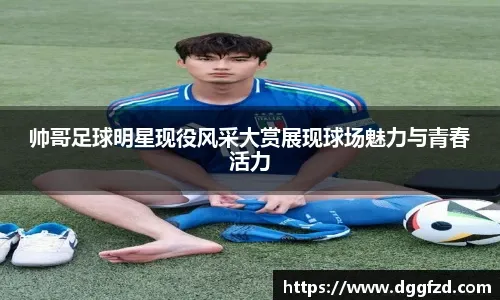 布法罗比尔雪战辛辛那提猛虎小电影